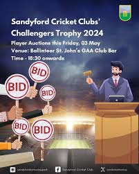 Image result for Sandyford Cricket Club