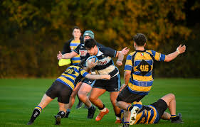 Image result for Weybridge Vandals Rugby Club