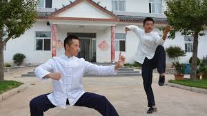 Image result for Shaolin Ancestors kung Fu School