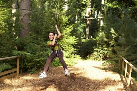 Image result for Go Ape! Moors Valley
