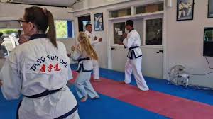Image result for Tang Sou Dao Ren Yi Wu Kwan - Huntingdon