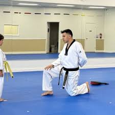 Image result for Calne Tagb Tae Kwon Do School