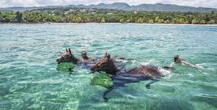 Image result for The Riding Centre