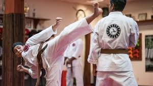 Image result for Hidden Dragon Karate-Do