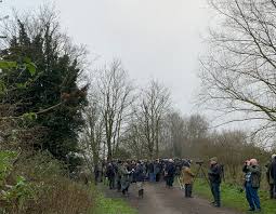 Image result for England Staffordshire Birding Club