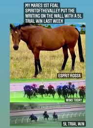 Image result for Bletchingly Badminton Club