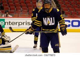 Image result for Northern Hockey Club