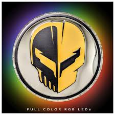 Bildresultat för jake skull