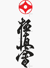 Image result for Kyokushin Karate