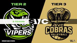 Image result for Cheltenham Cobras Volleyball Club