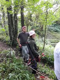 Image result for Lyme Valley Archers