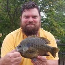 Image result for Lepomis cyanellus