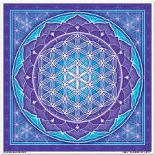 Image result for life flower