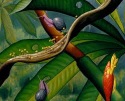 Attēlu rezultāti vaicājumam “Leucochloridium paradoxum”