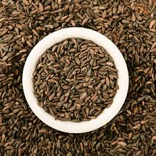 Attēlu rezultāti vaicājumam “Arctium lappa fruit”