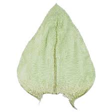 Attēlu rezultāti vaicājumam “Eurhynchium angustirete”