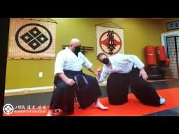 Image result for Ryuko Dojo