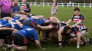 Image result for Novocastrians Rugby Football Club