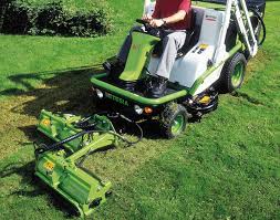 Image result for etesia tehron