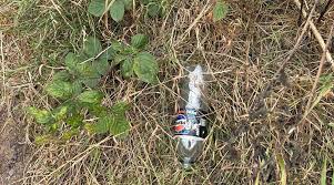 Image result for Frodsham Cc