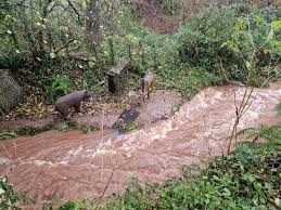 Image result for Ashcombe Valley Archers