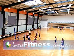 Image result for Sports Centre Netball