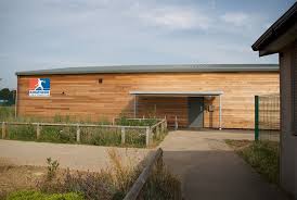 Image result for Kingfisher Reading Table Tennis Club