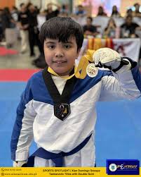 Image result for Hed Tkd (Dorking Tae Kwon-Do)