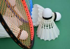 Image result for Shuttles Badminton Club (Frome)