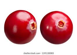 Attēlu rezultāti vaicājumam “Oxycoccus”