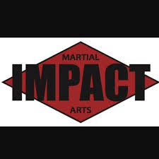 Image result for Impact Martial Arts