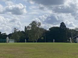 Image result for Buxted Park Cricket Club