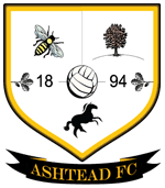 Image result for Ashtead Cricket Club
