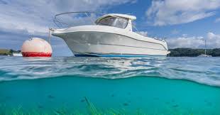 Image result for Sussex Yacht Club Ltd