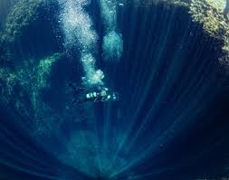 Image result for Deep Blue Diving
