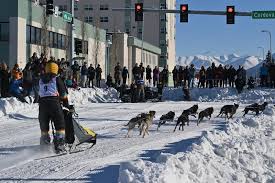 Image result for Team Ice Fire British Sled Dog Racing Team