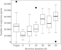Attēlu rezultāti vaicājumam “Parasemia plantaginis male”
