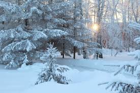 Image result for мороз