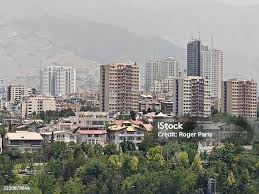 Image result for selvatici tehron