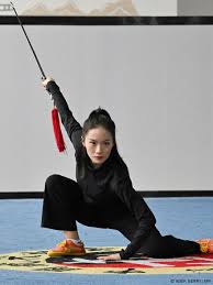 Image result for kung fu