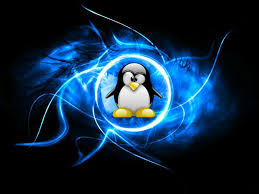 Image result for linux penguin