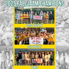 Image result for Bryn Badminton Club