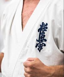 Image result for Kyokushin Karate