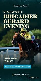 Image result for Sandown Sports Club