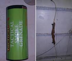 Image result for Paintball Trax, Lancashire