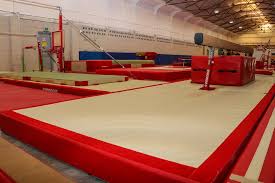 Image result for Kestrel Gymnastic Group