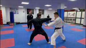 Image result for Nottingham Sankukai Karate