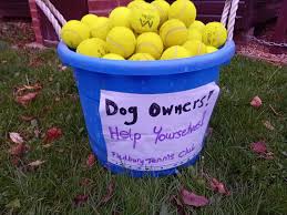 Image result for Fladbury Tennis Club