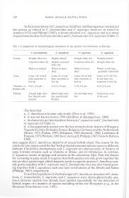 Attēlu rezultāti vaicājumam “Cinclidotus danubicus cells”