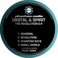 Image result for Revolution Dojo